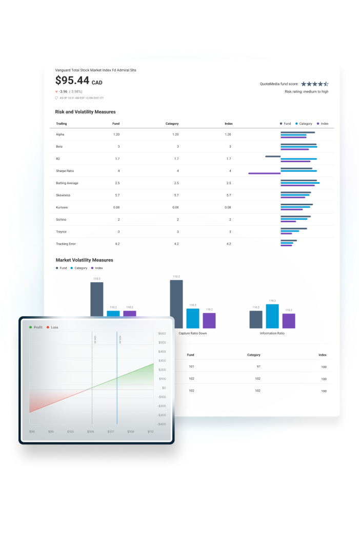 Risk metrics, volatility graphs, and comparisons displayed on a fund analysis dashboard